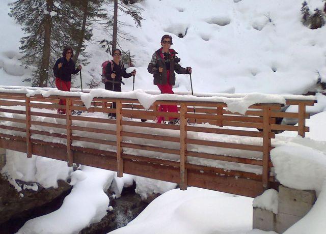 Flims / Laax - Snowshoe tours