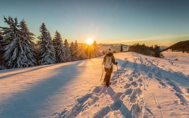 Arosa - Private Snowshoeing Tour