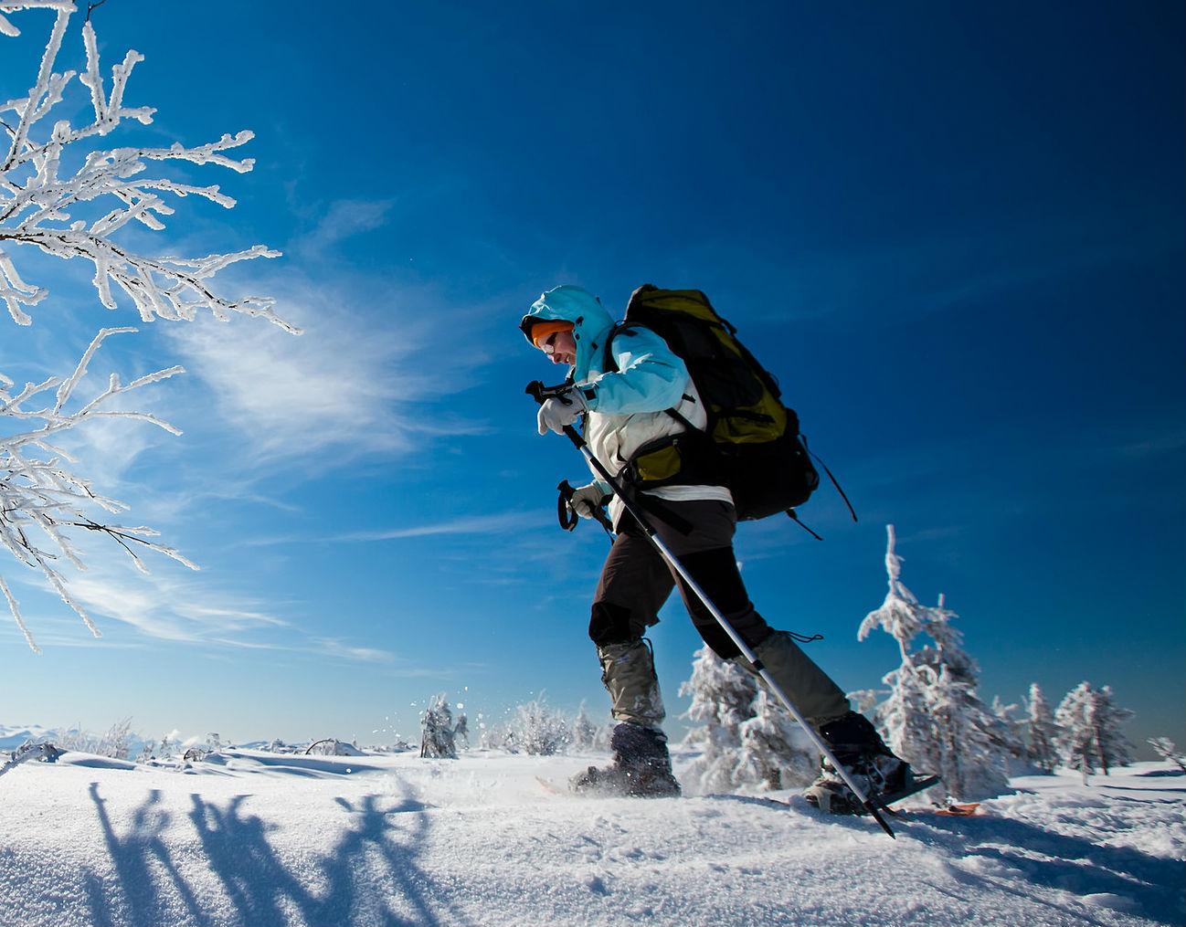 Semmering - Private Snowshoeing Tour for All Ages & Levels