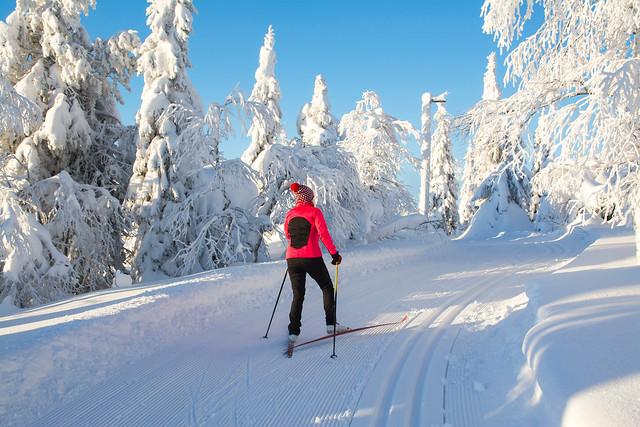 Obertauern - Private Cross Country Skiing Lessons in Obertauern