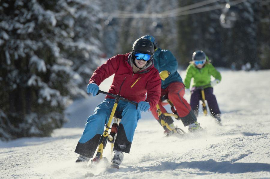 Flachau - Snowbike Group - Beginner