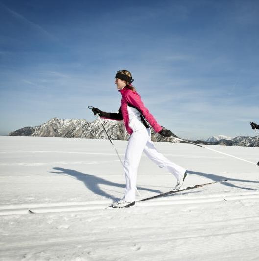 Feldberg - Cross Country Skiing Lessons for Beginners