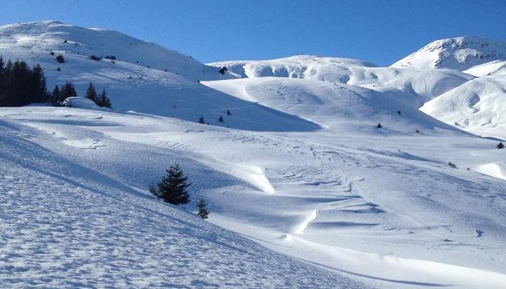 Arosa - Private Off-Piste Skiing Tours in Arosa-Lenzerheide
