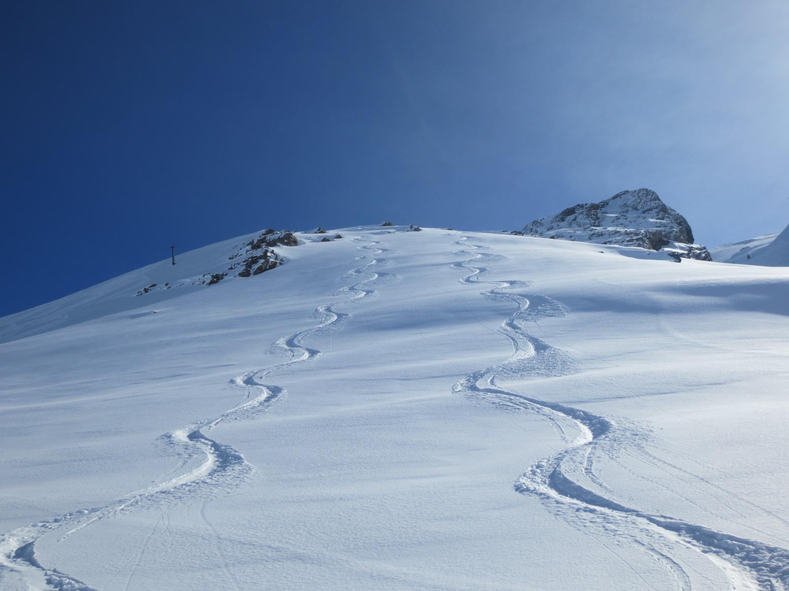 Engelberg - Private Ski Lessons for Adults (different snow types)