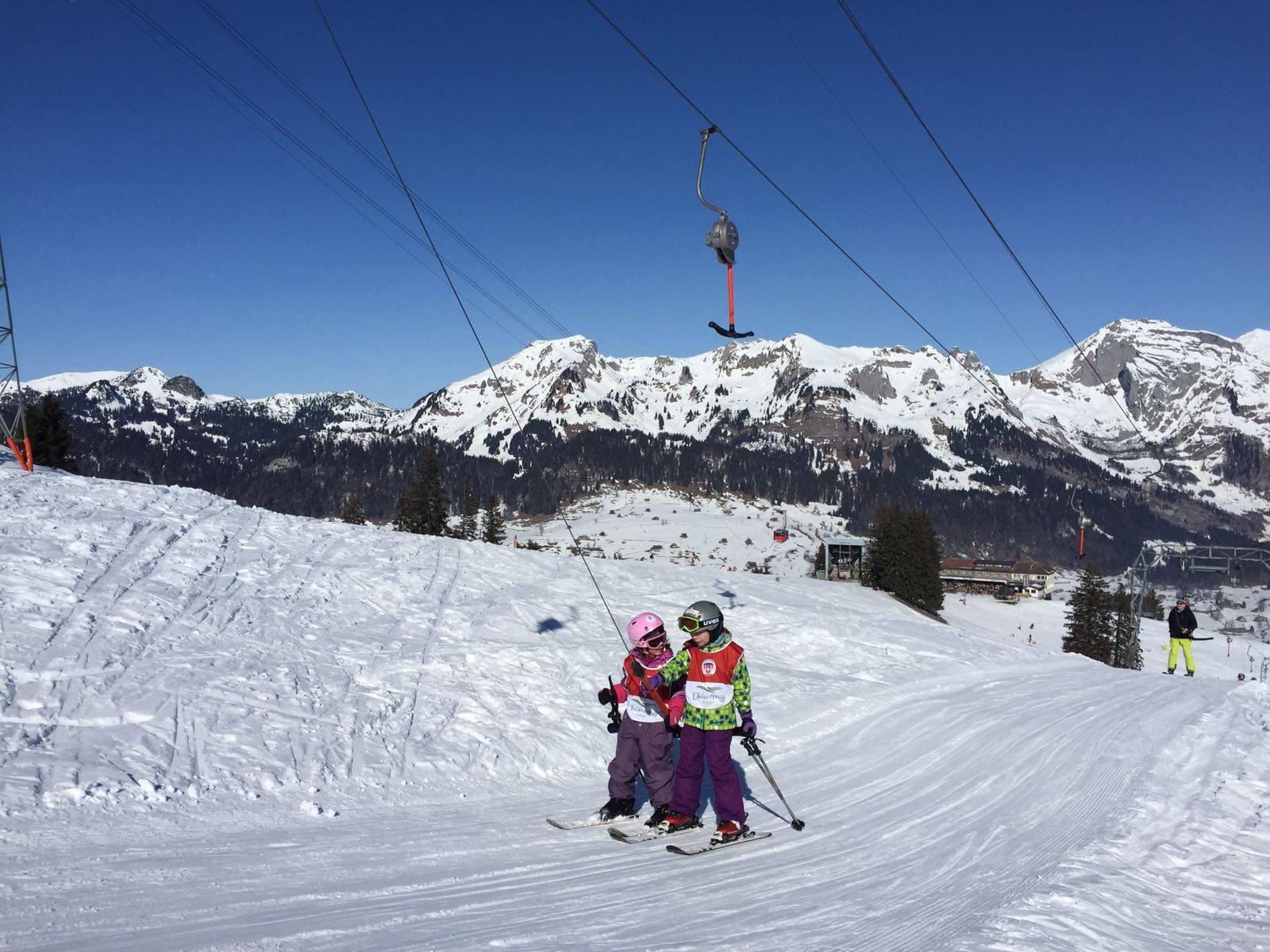 Wildhaus - Private Ski Lessons for Kids - All Levels