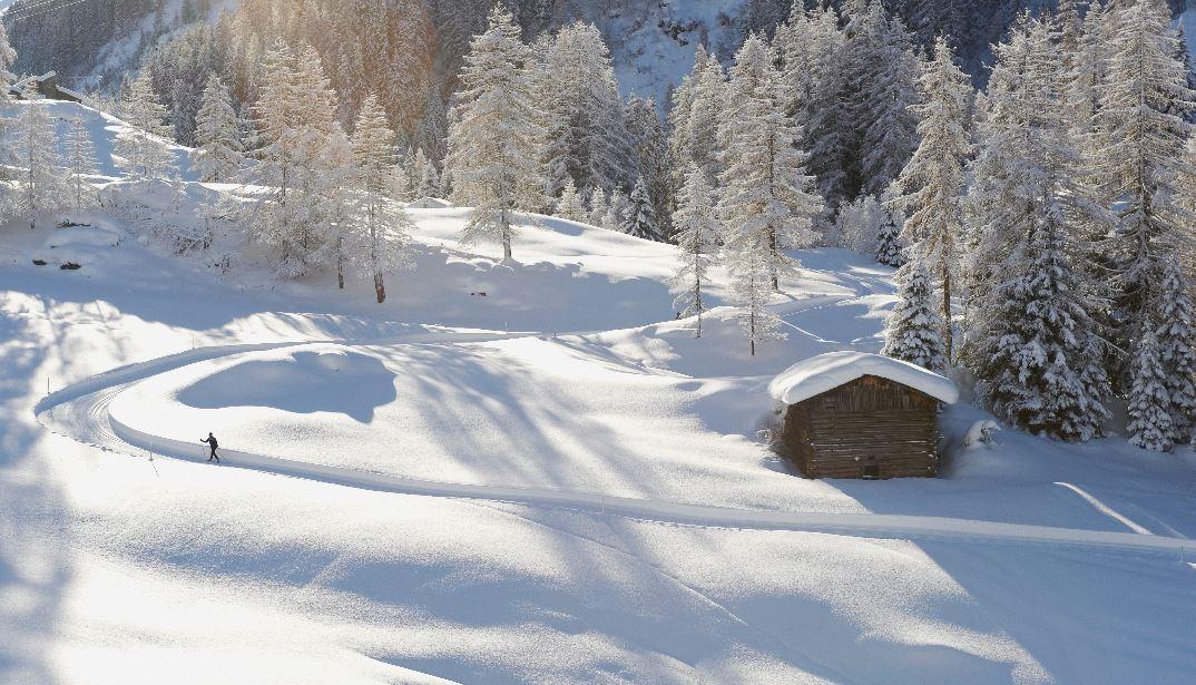 Klosters - Cross Country Skiing Lessons with Hilde