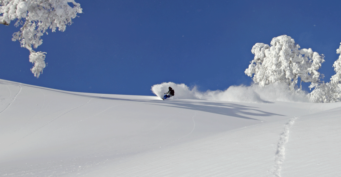 Alpbachtal - Off-Piste Skiing Days in Alpbach