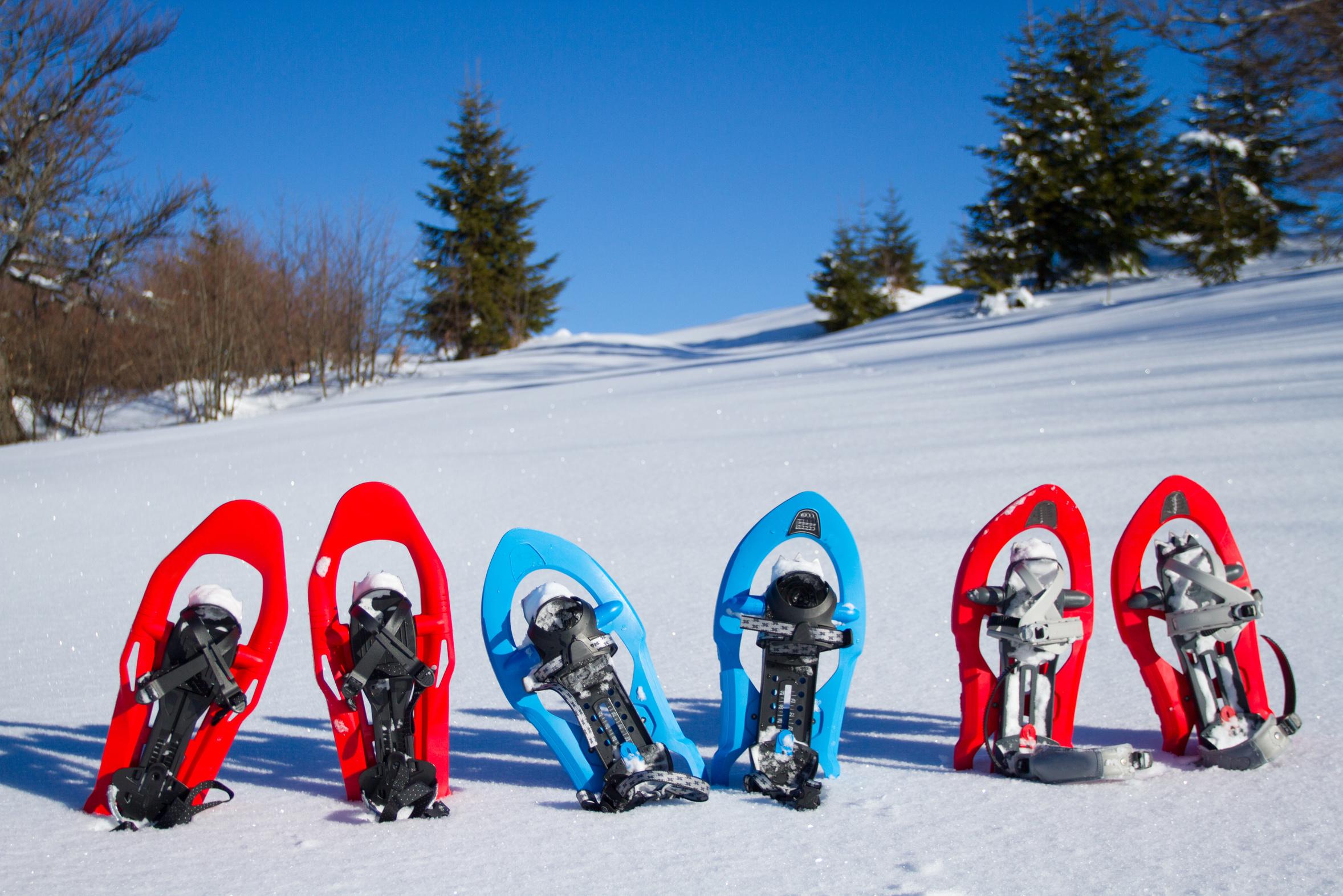 Obergurgl - Private Snowshoeing Tour