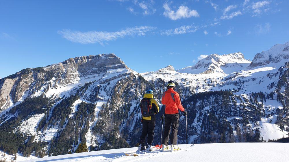Wildhaus - Private Ski Lessons for Adults of All Levels
