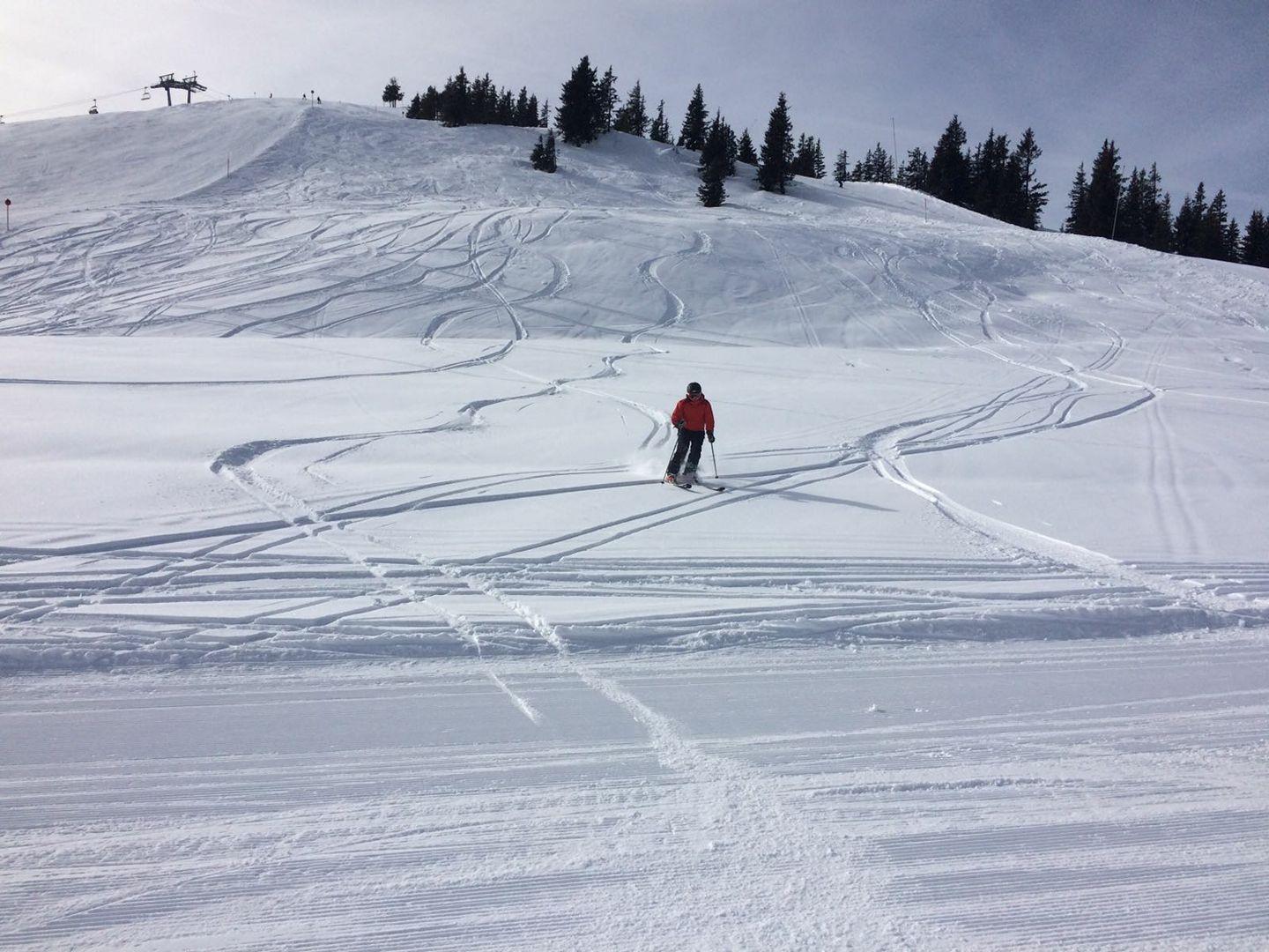 Scheffau - Private Ski Guide