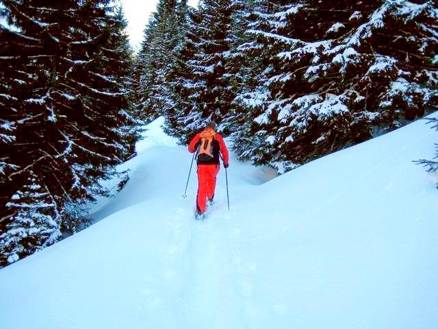 Lienz - Private Snowshoeing Tour for All Ages & Levels