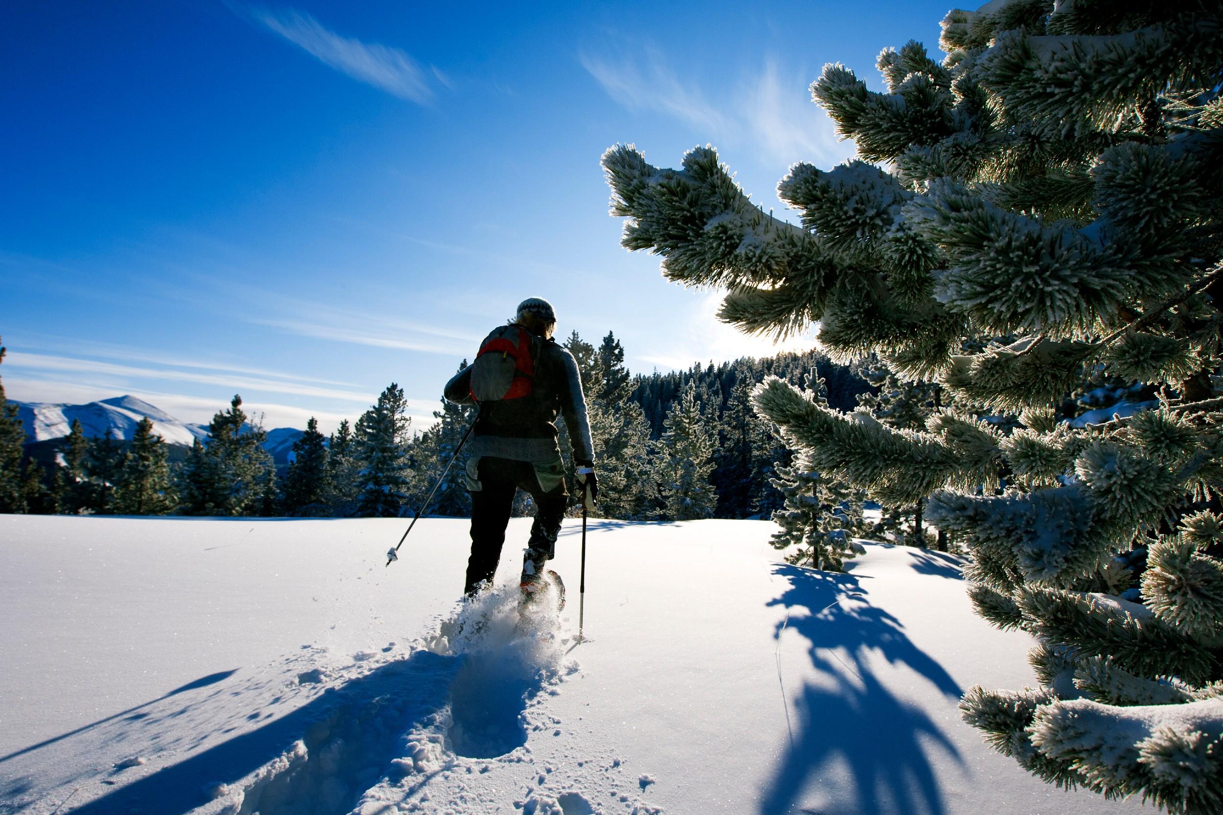 Lech / Zürs - Private Snowshoeing Tour