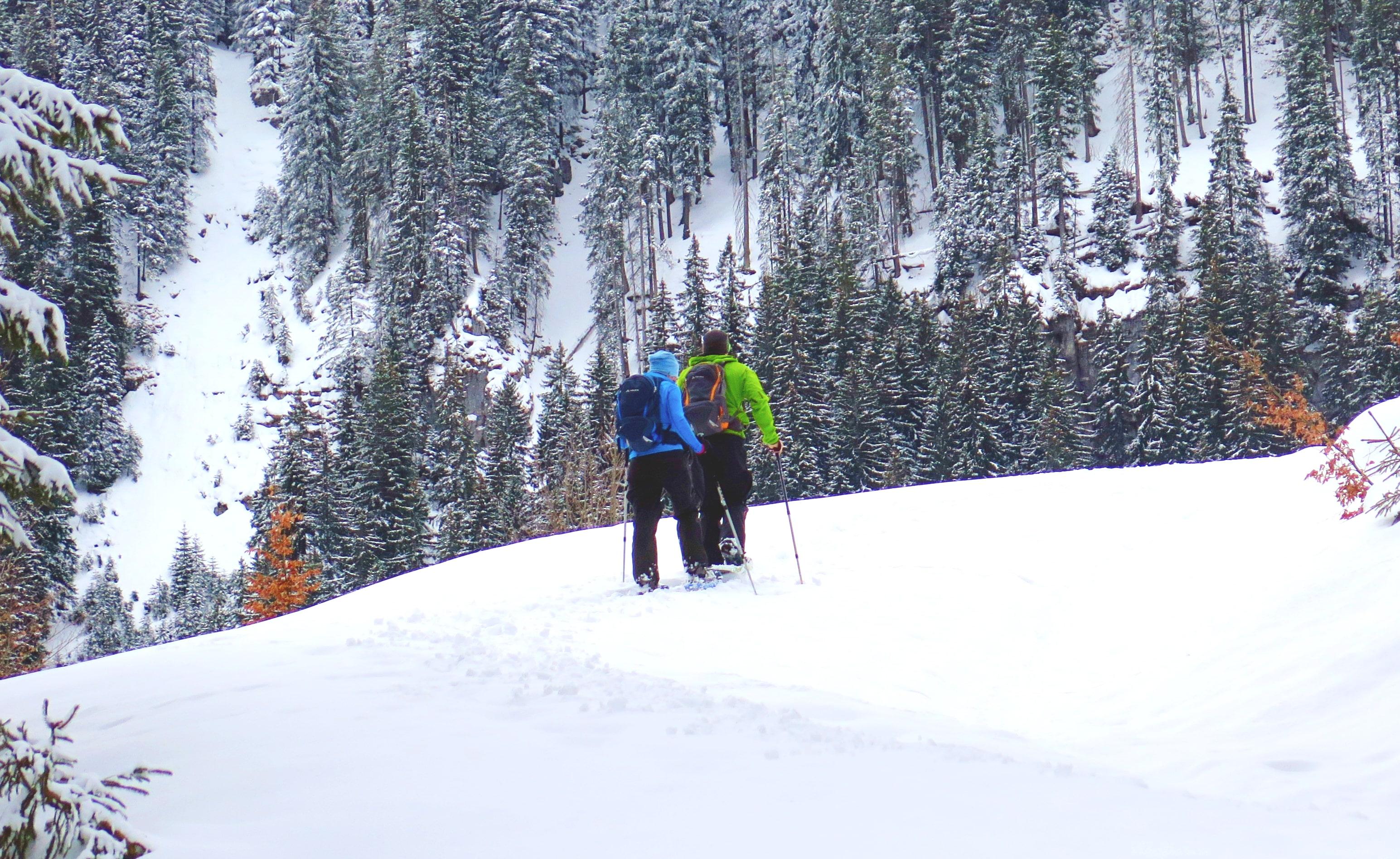 Sestriere - Private Snowshoeing Tours