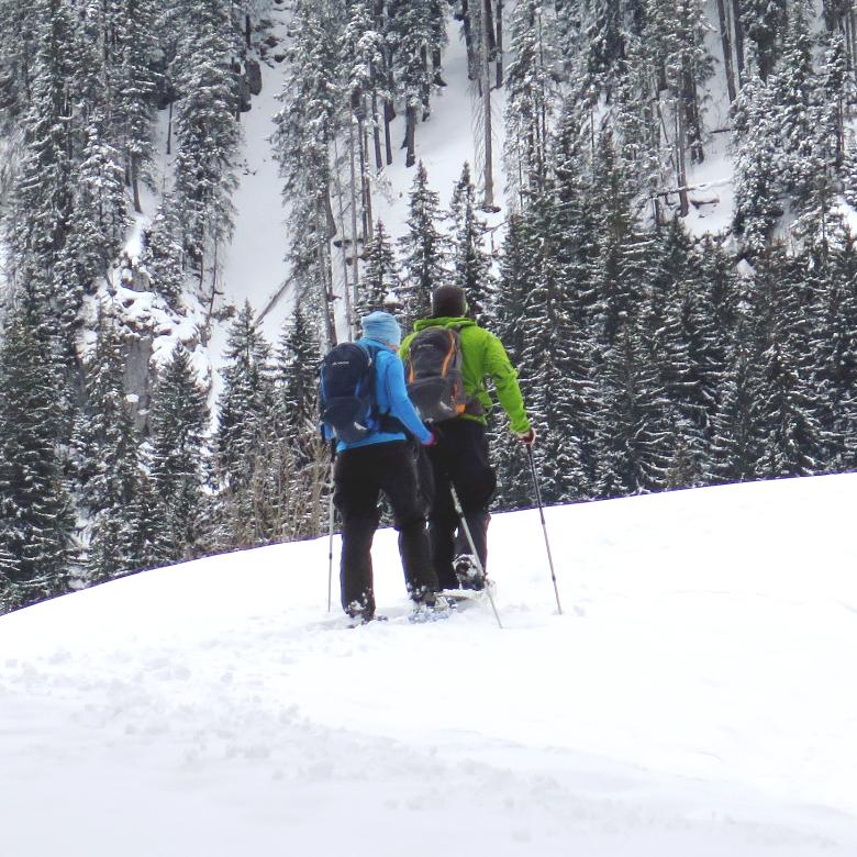 Spindleruv Mlyn - Private Snowshoeing Tours - All Levels
