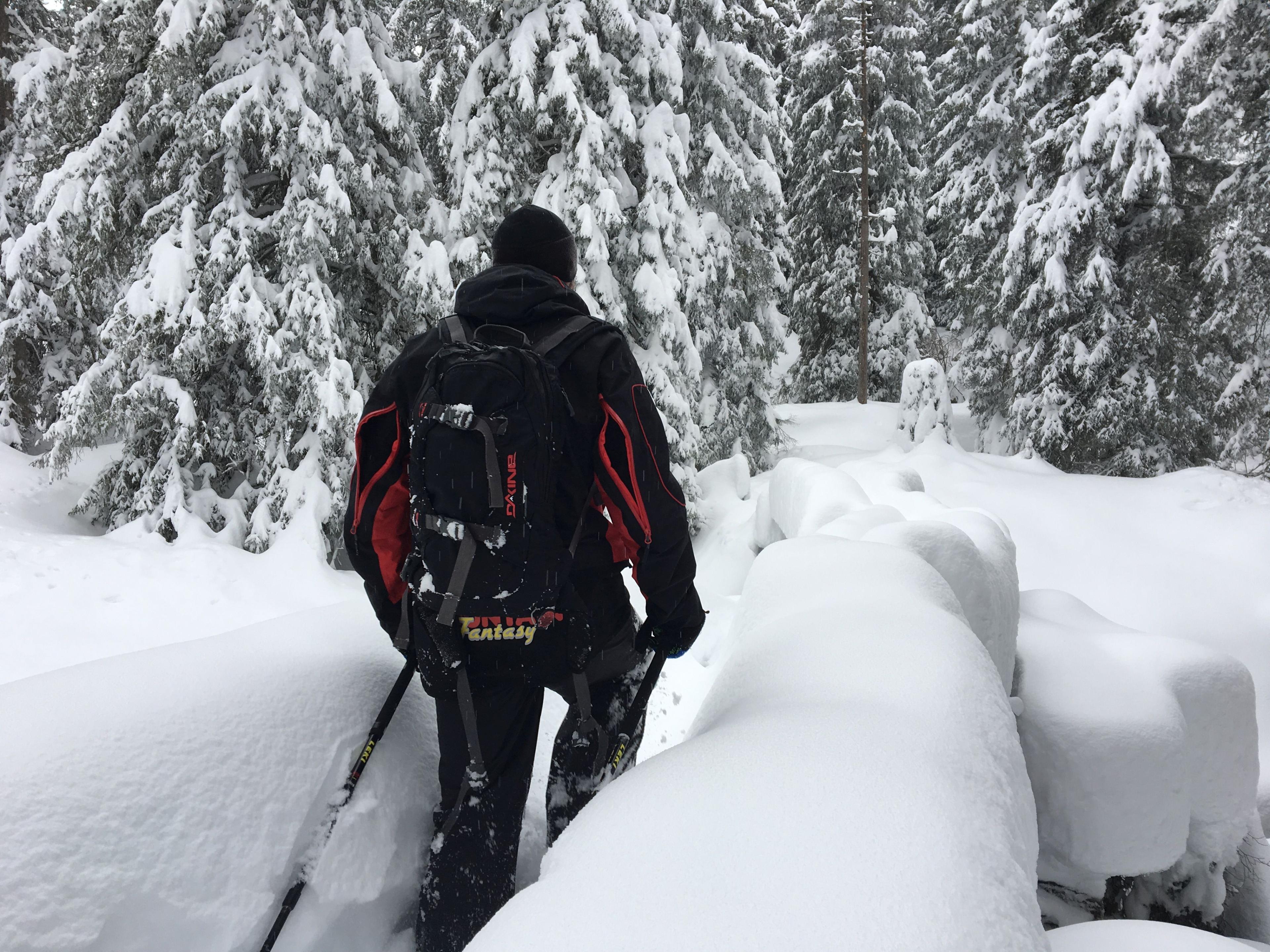 Flims / Laax - Snowshoe tours