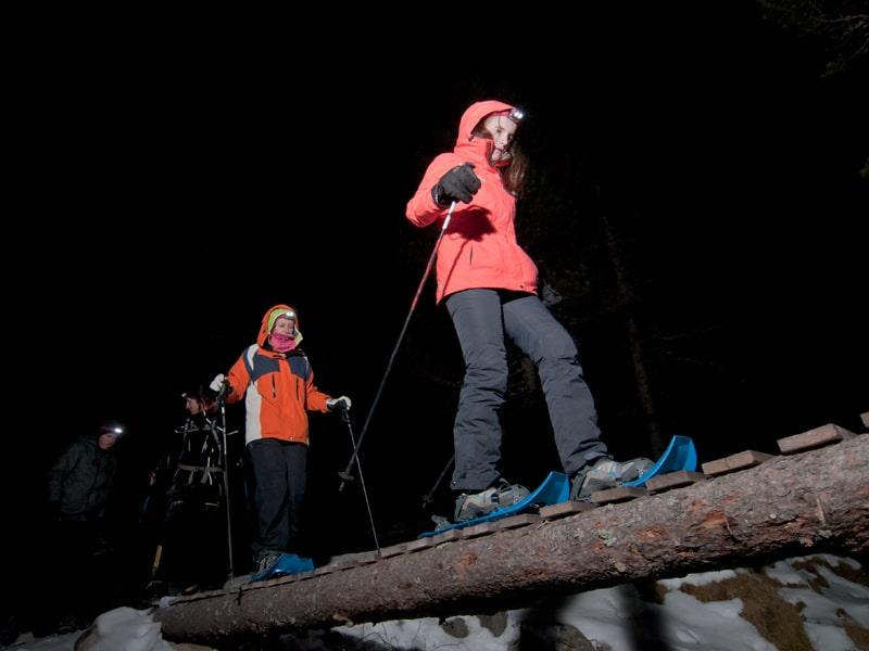 La Molina - Private Snowshoeing Tour - Nocturnal