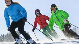 Feldberg - Adult Ski Lessons for First Timers - Half Day