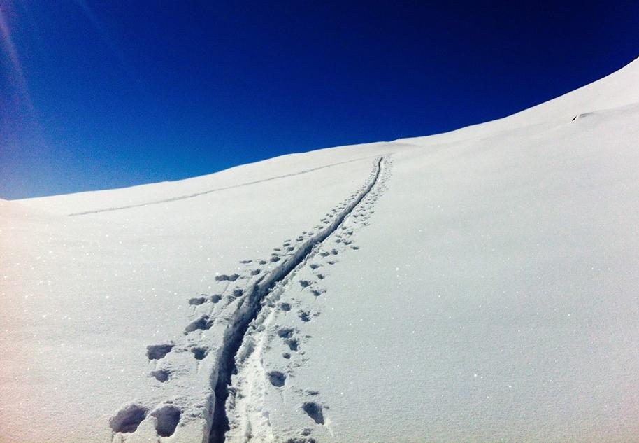 Lech / Zürs - Ski Touring Private Guide - All Levels