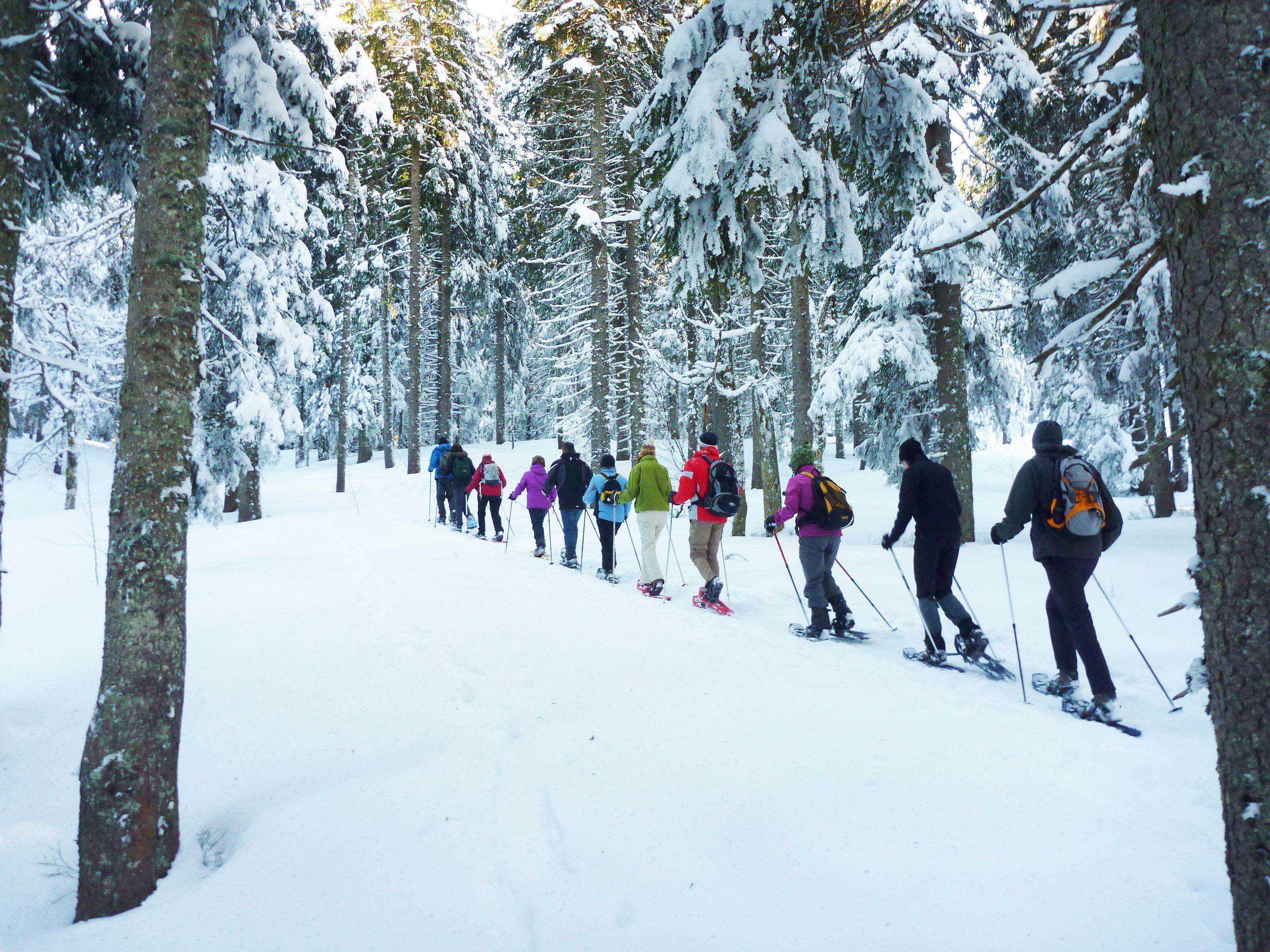 Feldberg - Snowshoeing Tours for All Levels