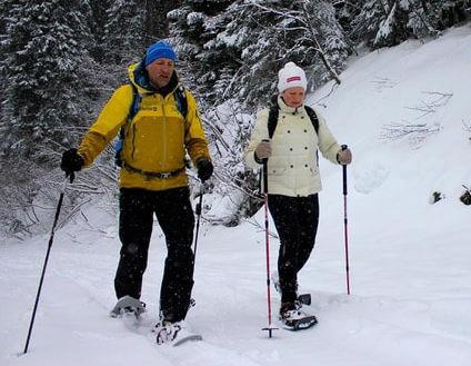 Sankt Johann im Pongau-Alpendorf - Private Snowshoeing Tour
