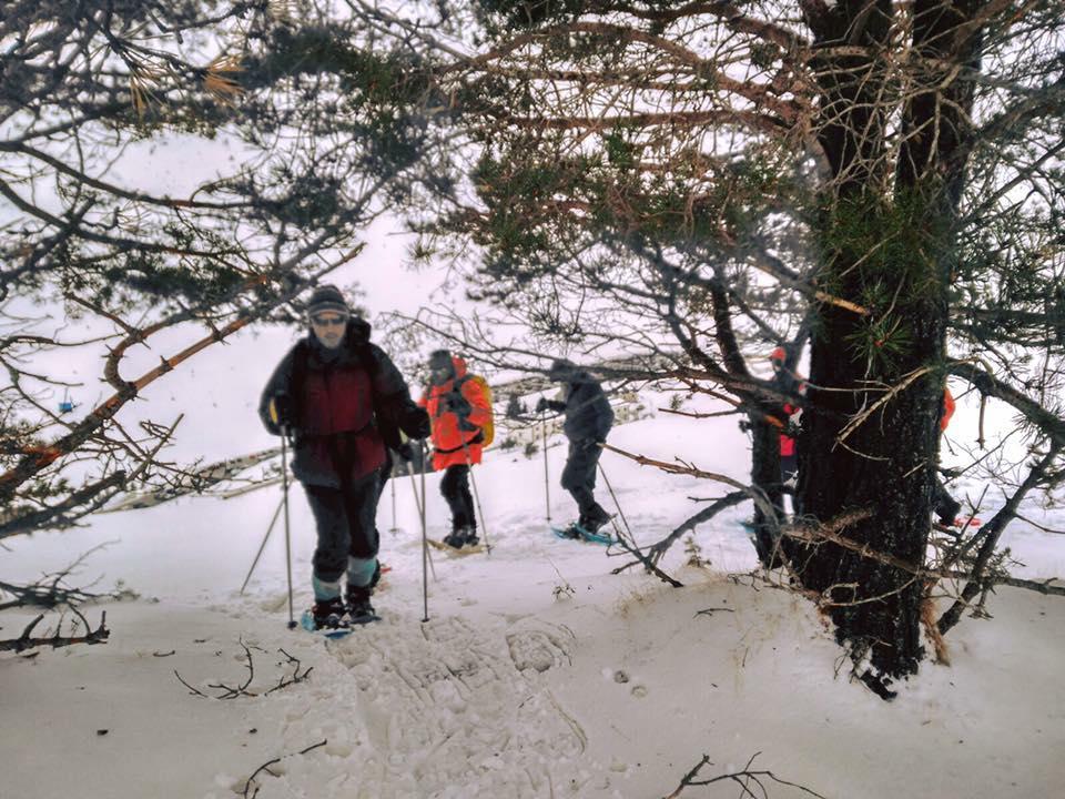 Candanchú - Snowshoeing Private - All Levels & Ages