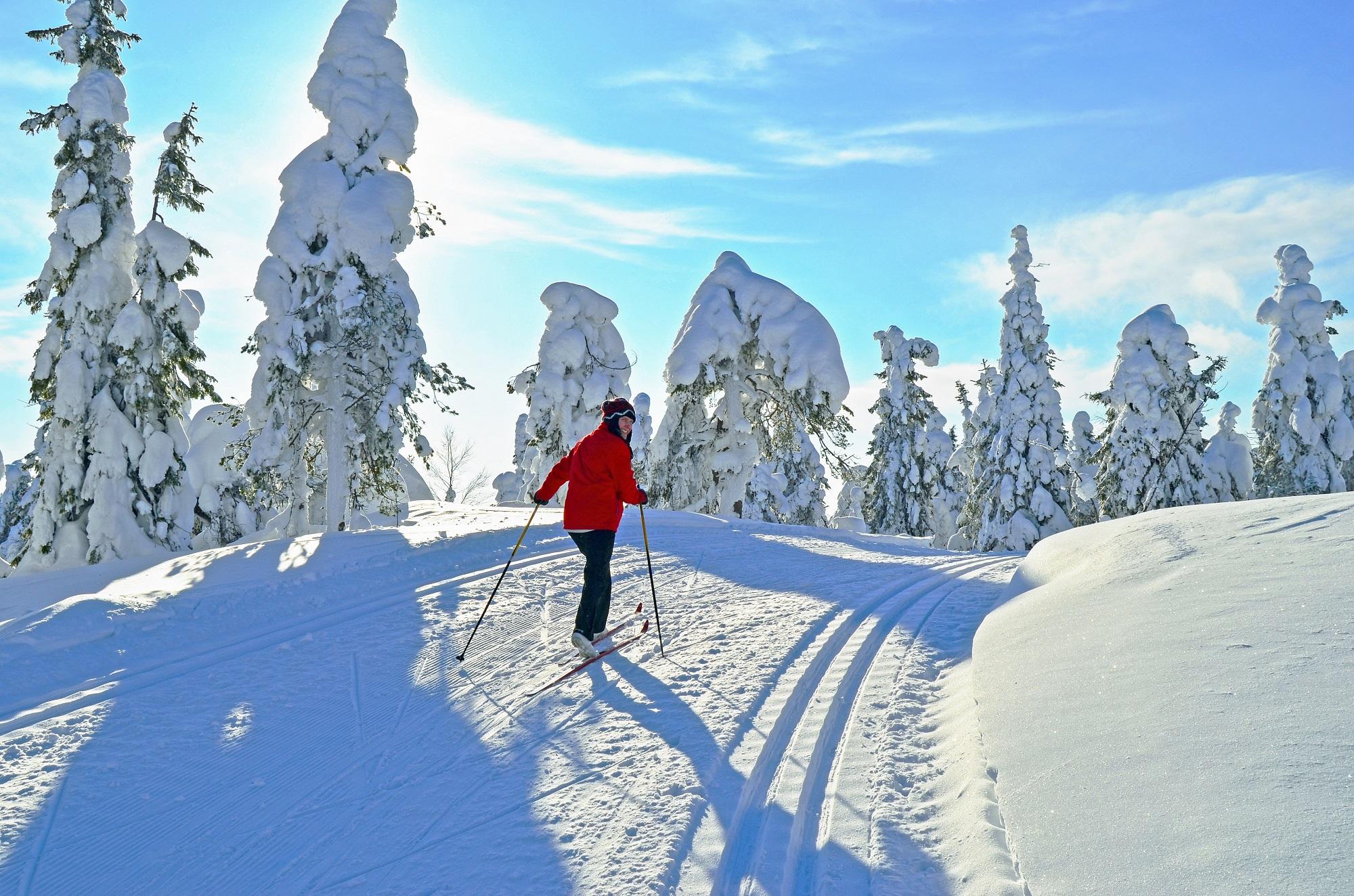 Semmering - Private Cross Country Skiing Lessons for All Ages & Levels