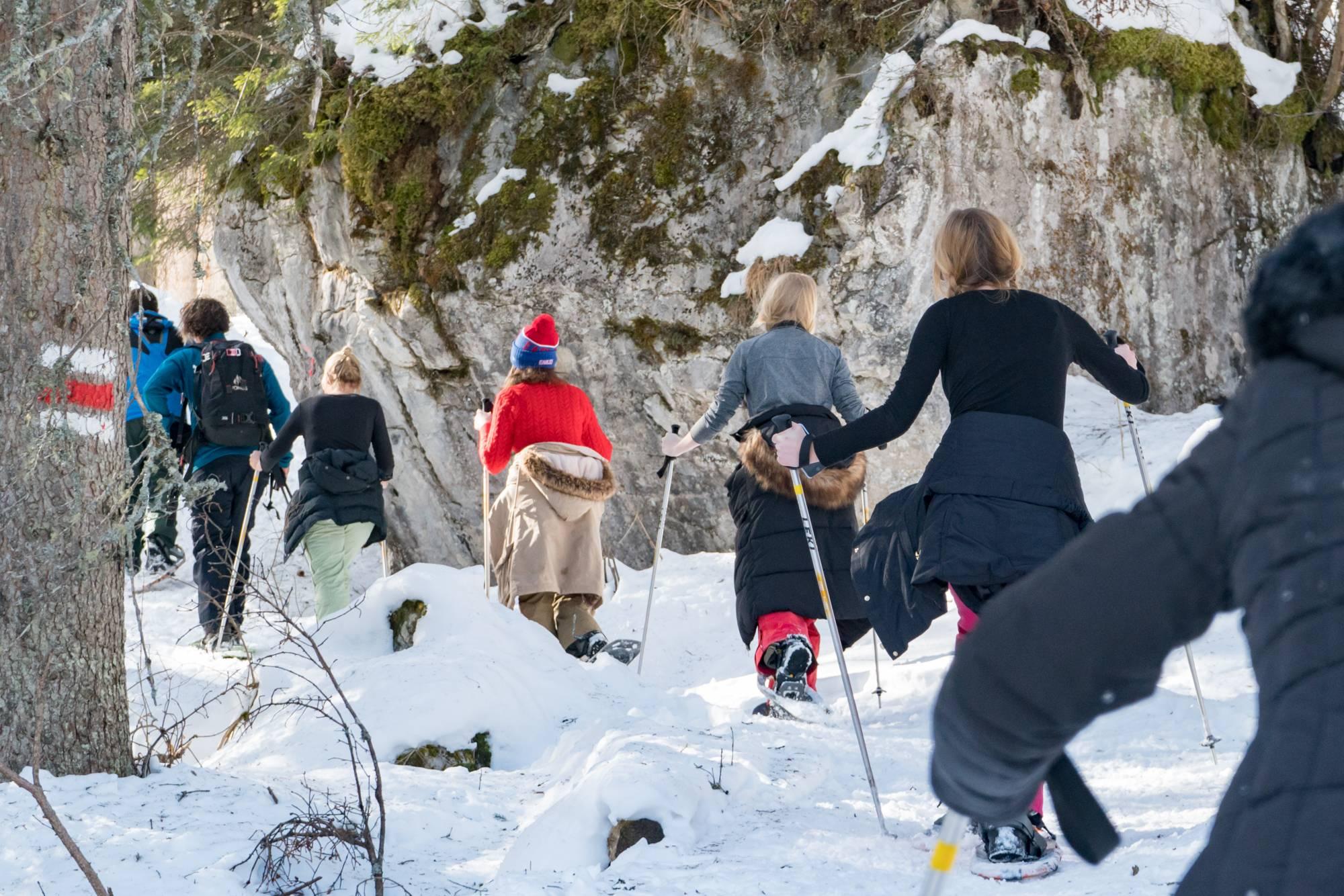 Interlaken - Winter Alpine Adventure with Snowshoeing and Sledding
